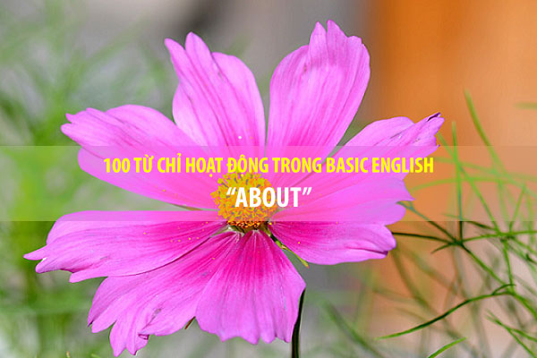 TAKE là một trong 18 động từ trong số 850 từ của BASIC ENGLISH. Nghĩa thuần của TAKE là LẤY. Mời các bạn xem phần cuối của bài học.