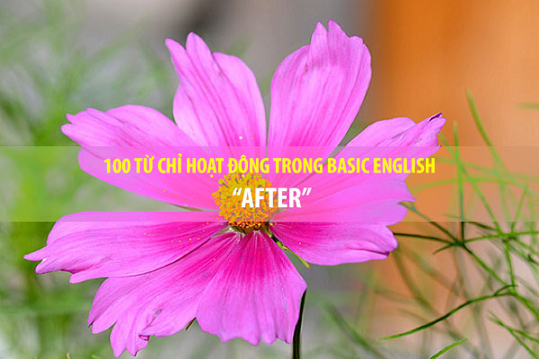 BASIC ENGLISH - 100 từ chỉ sự hoạt động - AFTER