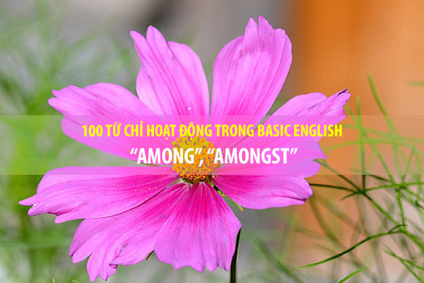 BASIC ENGLISH - 100 từ chỉ sự hoạt động - AMONG, AMONGST