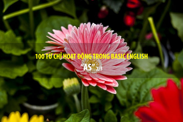 BASIC ENGLISH - 100 từ chỉ sự hoạt động - AS (P2/3)