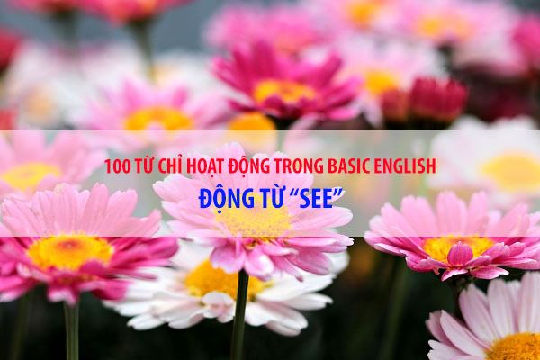 BASIC ENGLISH - 100 từ chỉ sự hoạt động - Động từ SEE