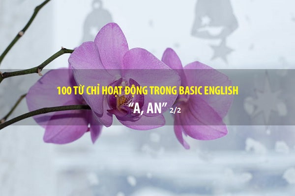 BASIC ENGLISH - 100 từ chỉ sự hoạt động - A, AN (P2/2)