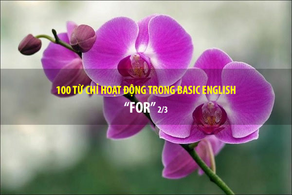 BASIC ENGLISH - 100 từ chỉ sự hoạt động - FOR (P2/3)