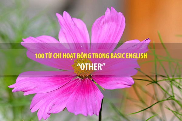 BASIC ENGLISH - 100 từ chỉ sự hoạt động - OTHER