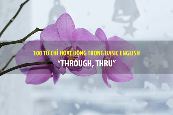 BASIC ENGLISH - 100 từ chỉ sự hoạt động - THROUGH, THRU