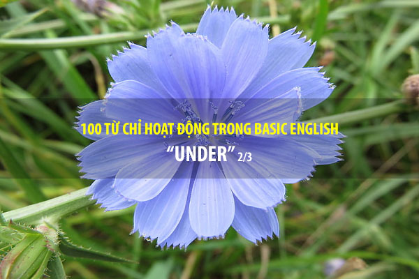 BASIC ENGLISH - 100 từ chỉ sự hoạt động - UNDER (P2/3)