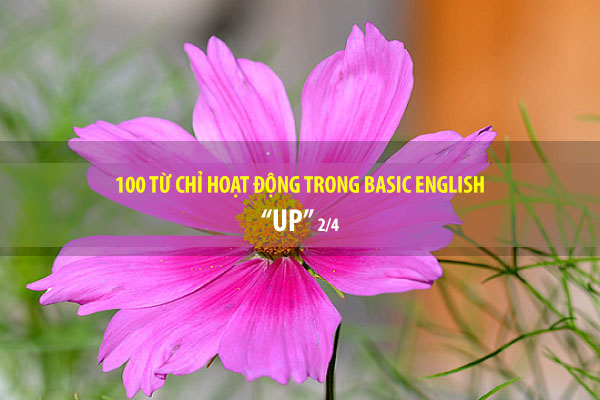 BASIC ENGLISH - 100 từ chỉ sự hoạt động - UP (P2/4)