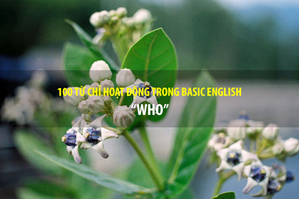 BASIC ENGLISH - 100 TỪ HOẠT ĐỘNG - WHO
