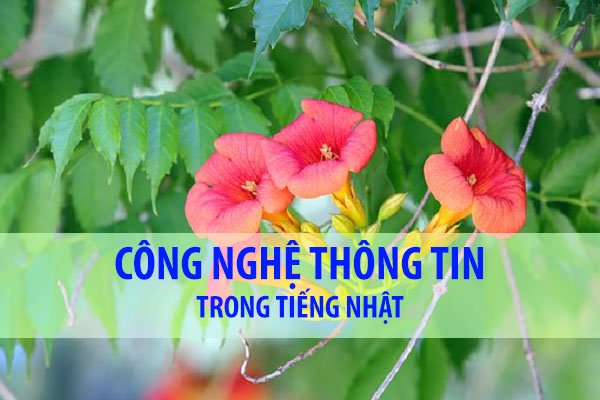 Công nghệ Thông tin trong tiếng Nhật