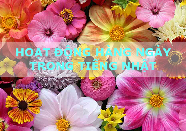 Hoạt động hàng ngày trong tiếng Nhật