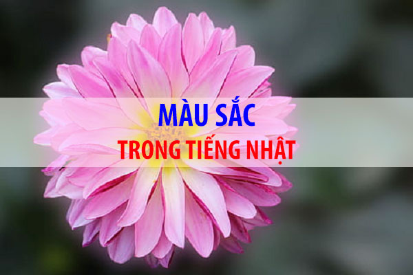 Màu sắc trong tiếng Nhật