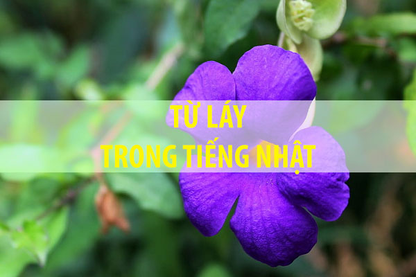 Từ láy trong tiếng Nhật