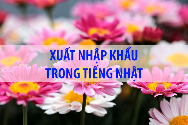 Xuất Nhập Khẩu trong tiếng Nhật