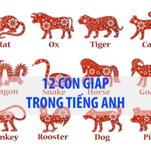 12 con giáp trong tiếng Anh