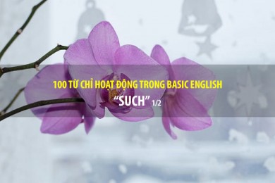 BASIC ENGLISH - 100 từ hoạt động - SUCH (P1/2)