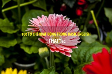 BASIC ENGLISH - 100 từ hoạt động - THAT (P1/2)