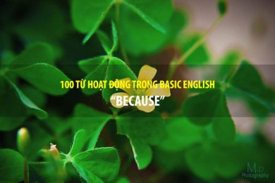 BASIC ENGLISH - 100 từ hoạt động - BECAUSE