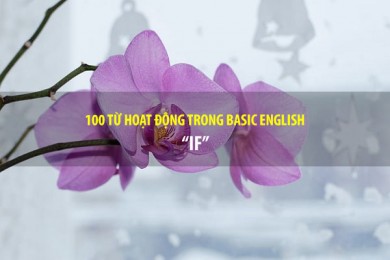 BASIC ENGLISH - 100 TỪ HOẠT ĐỘNG - IF