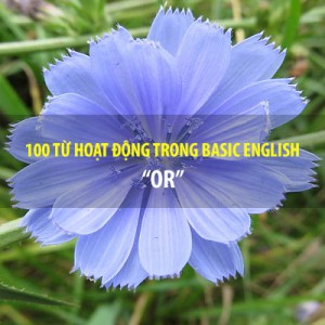 BASIC ENGLISH - 100 TỪ HOẠT ĐỘNG - OR