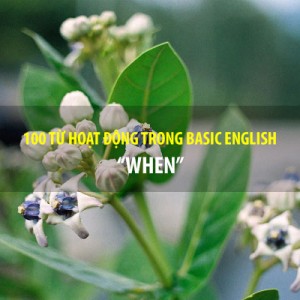BASIC ENGLISH - 100 TỪ HOẠT ĐỘNG - WHEN