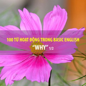 BASIC ENGLISH - 100 TỪ HOẠT ĐỘNG - WHY (P1/2)